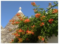 Trulli Alberobello